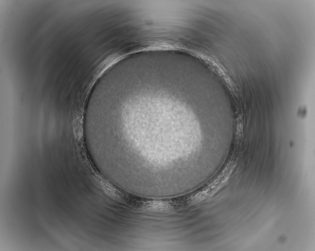 X0000103471409200810031510