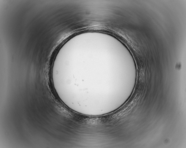 X0000103471410200810031510