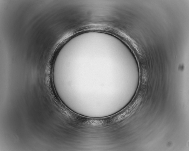 X0000103471411200810031510