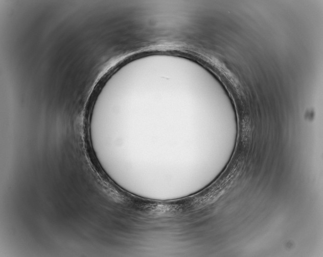 X0000103471412200810031510