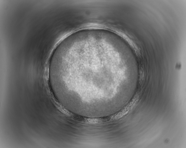 X0000103471413200810031510