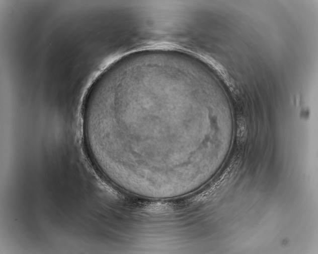 X0000103471414200810031510