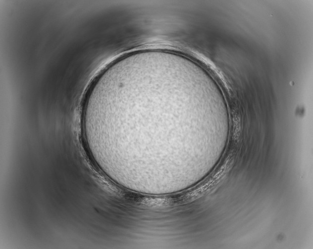 X0000103471415200810031510