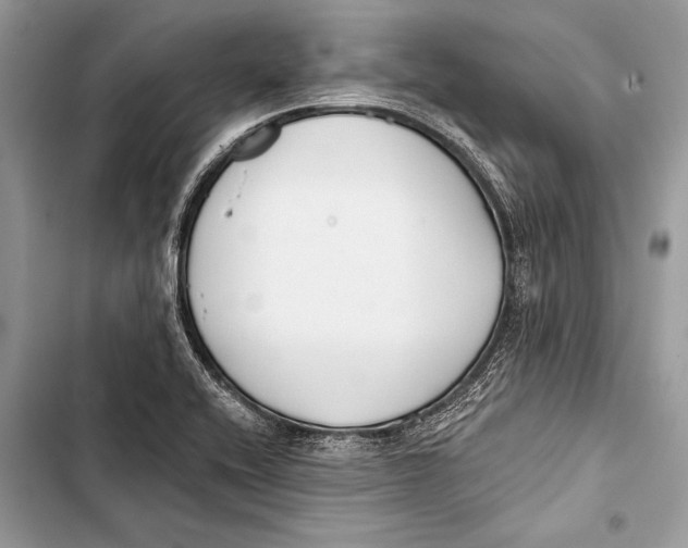 X0000103471416200810031510