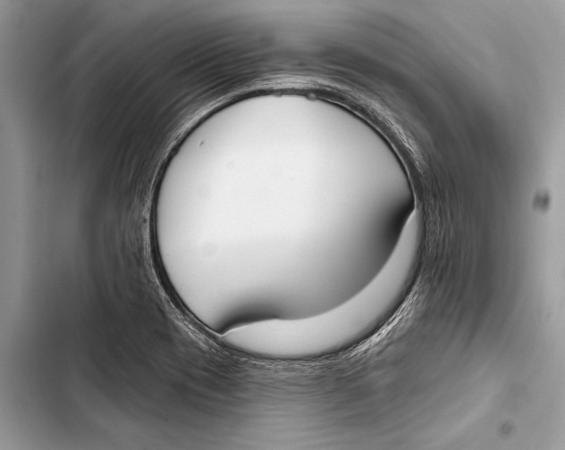 X0000103471417200810031510