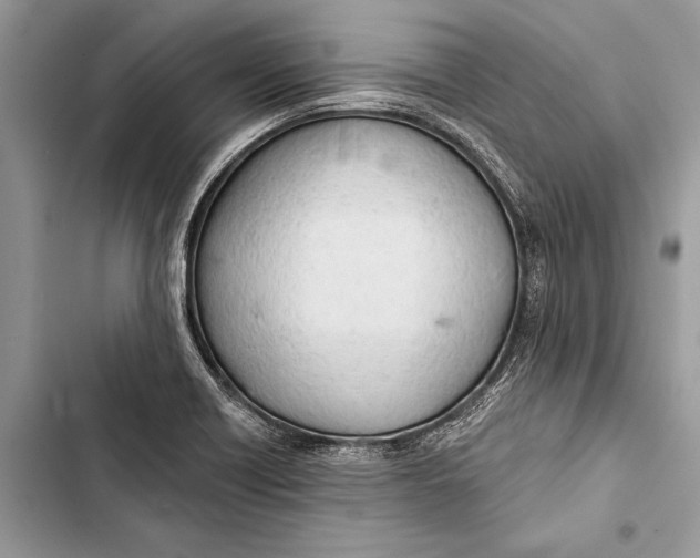 X0000103471418200810031510