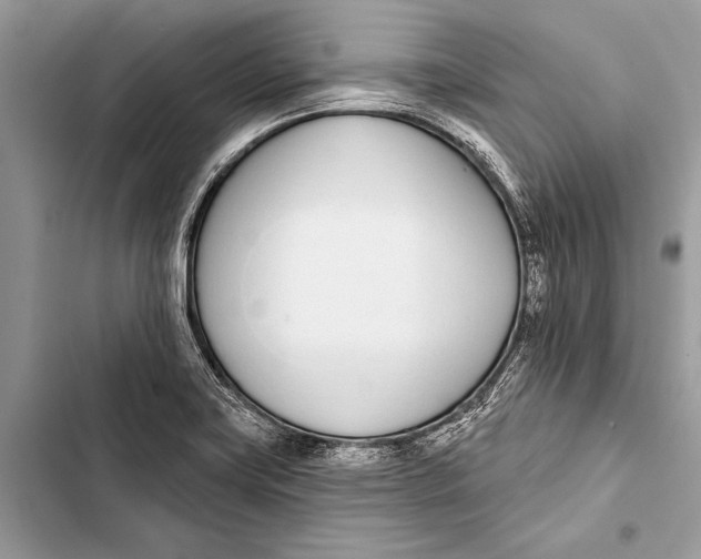 X0000103471419200810031510