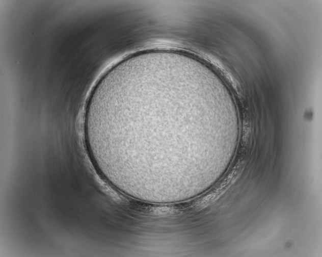 X0000103471421200810031510