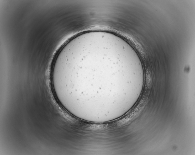 X0000103471422200810031510