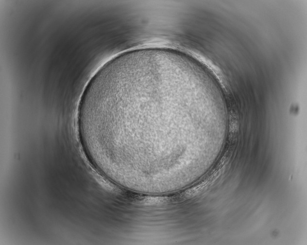 X0000103471423200810031510