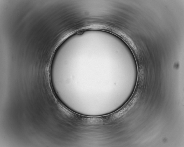 X0000103471425200810031510