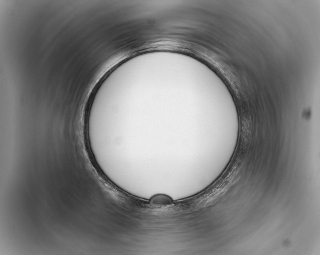 X0000103471426200810031510