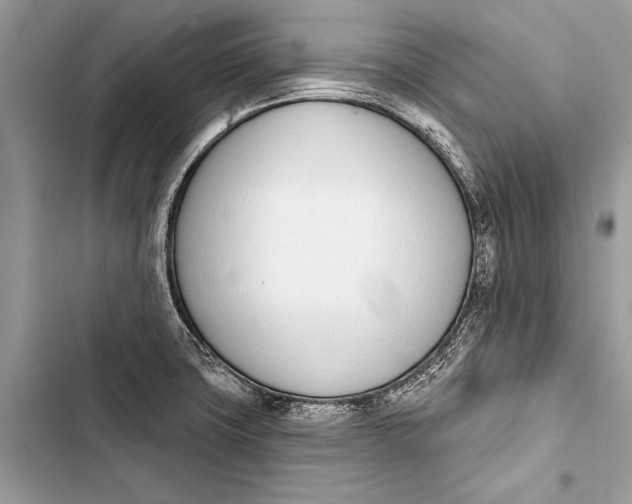 X0000103471427200810031510