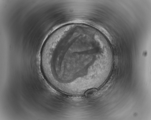 X0000103471428200810031510