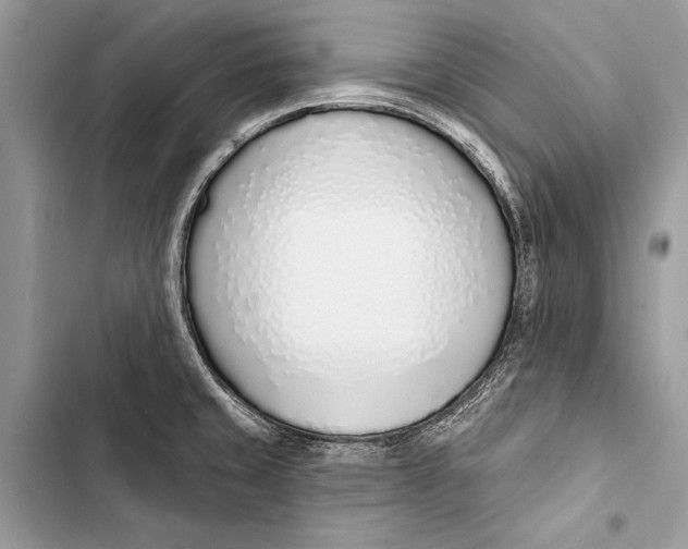 X0000103471429200810031510