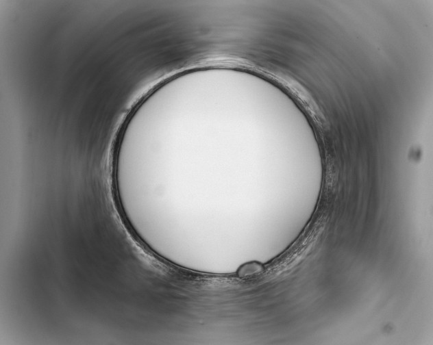 X0000103471430200810031510