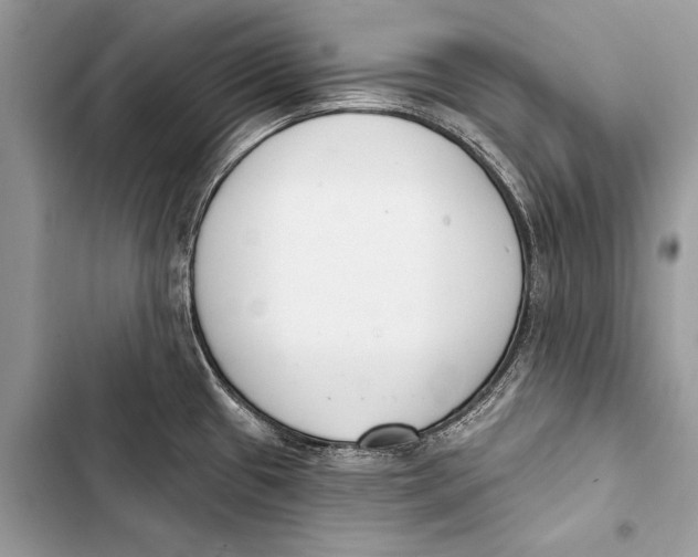 X0000103471433200810031510