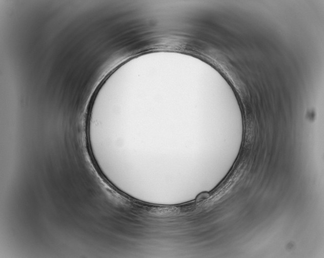 X0000103471434200810031510