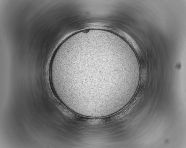 X0000103471435200810031510