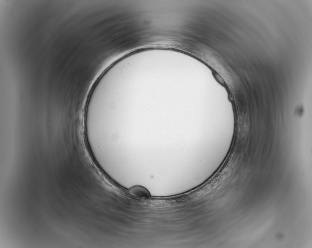 X0000103471436200810031510