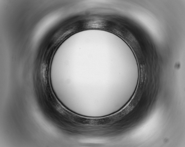 X0000103471438200810031510