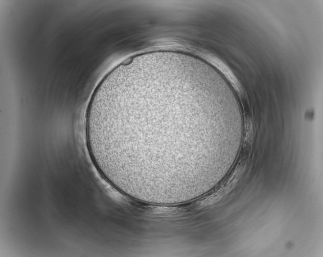 X0000103471439200810031510