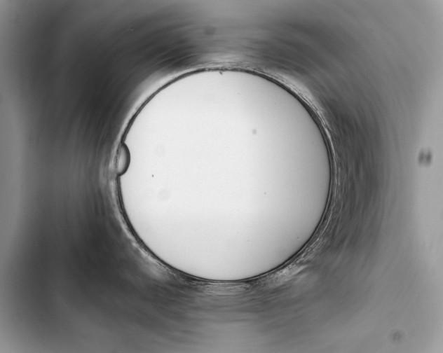 X0000103471440200810031510