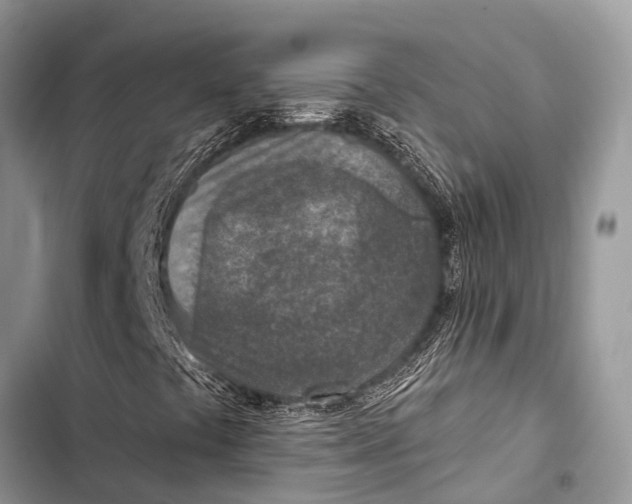 X0000103471441200810031509