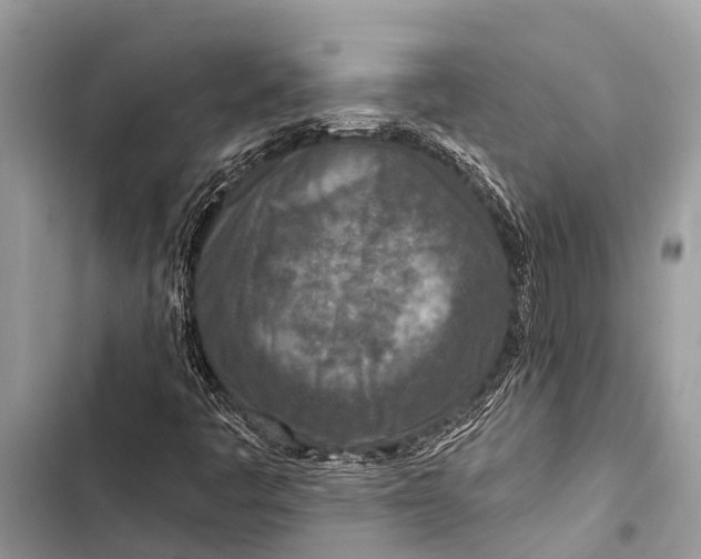 X0000103471445200810031509