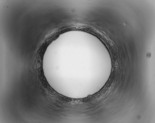 X0000103471447200810031509