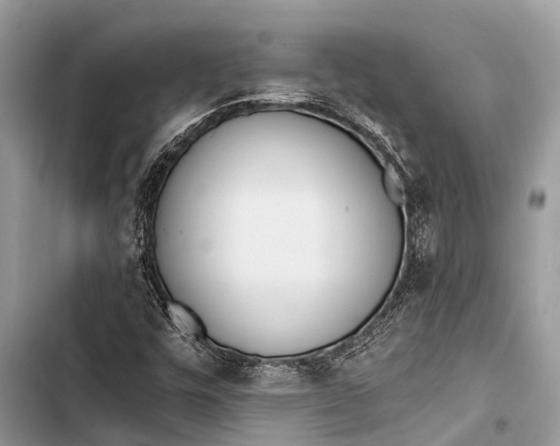 X0000103471448200810031509