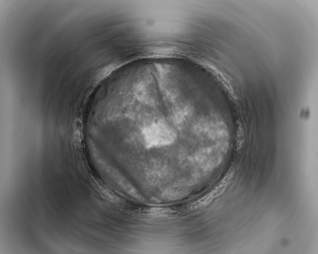 X0000103471449200810031509