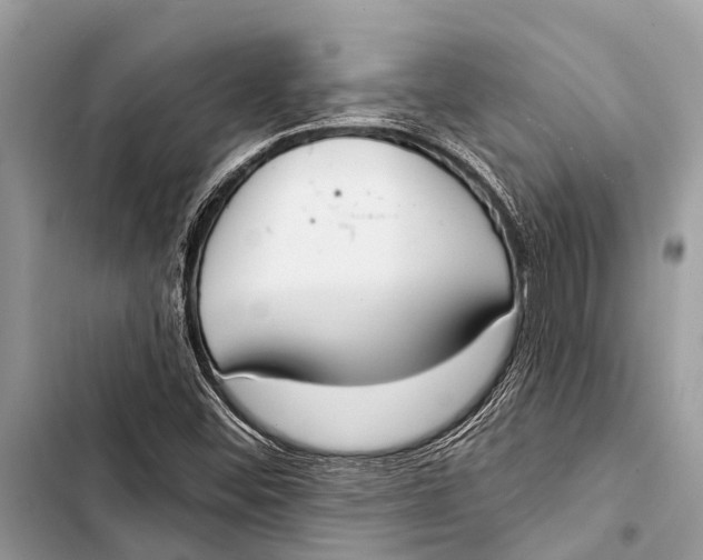 X0000103471452200810031509