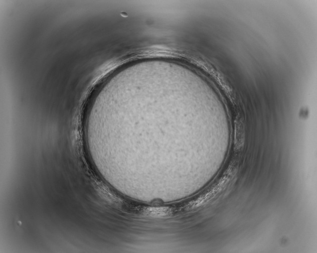 X0000103471453200810031509