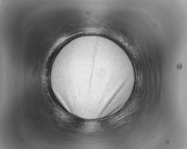 X0000103471454200810031509