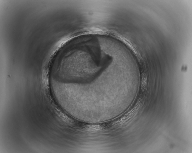 X0000103471455200810031509