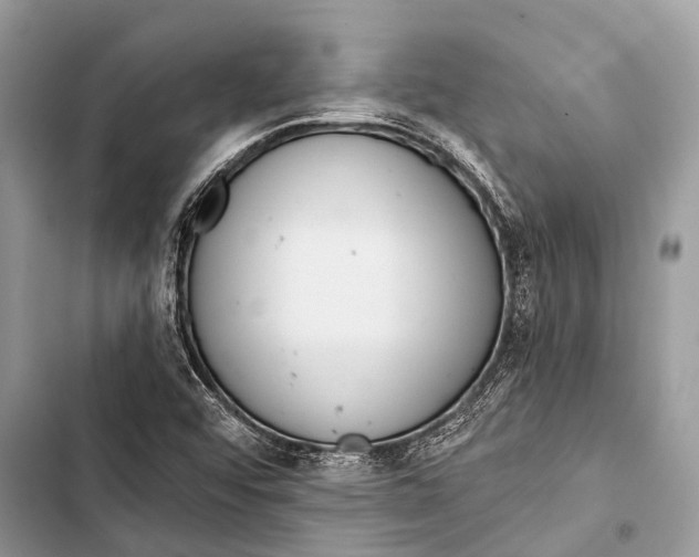 X0000103471456200810031509