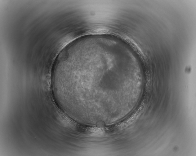 X0000103471457200810031509