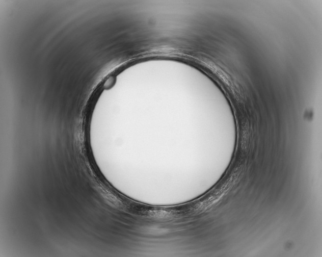 X0000103471458200810031509