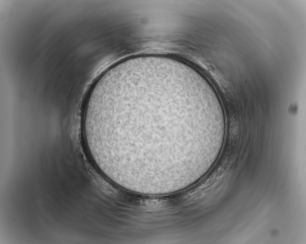 X0000103471459200810031509