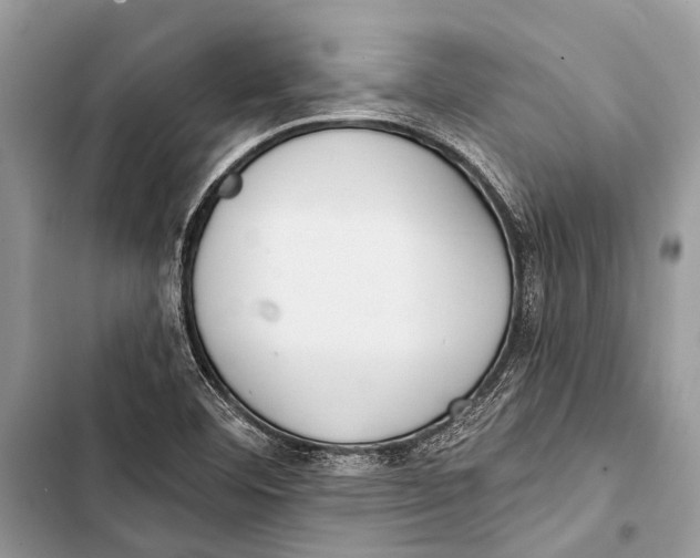 X0000103471460200810031509