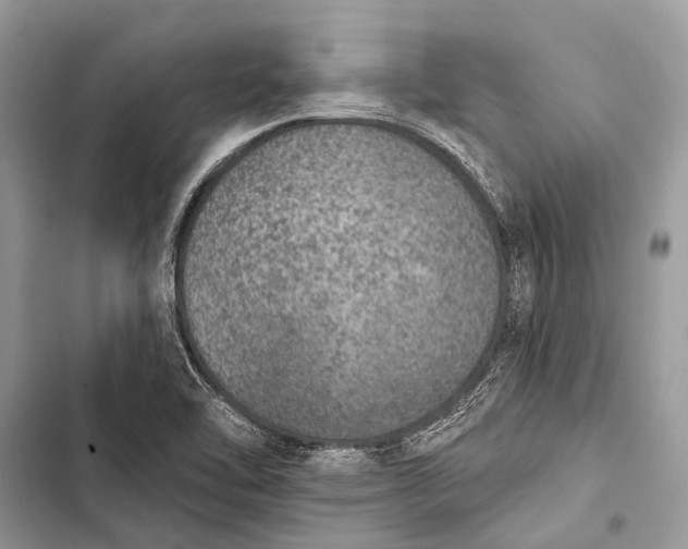 X0000103471462200810031509