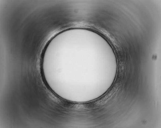 X0000103471463200810031509