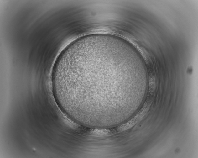 X0000103471466200810031509