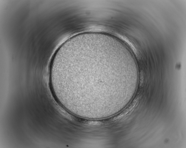 X0000103471467200810031509