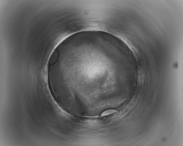 X0000103471468200810031509