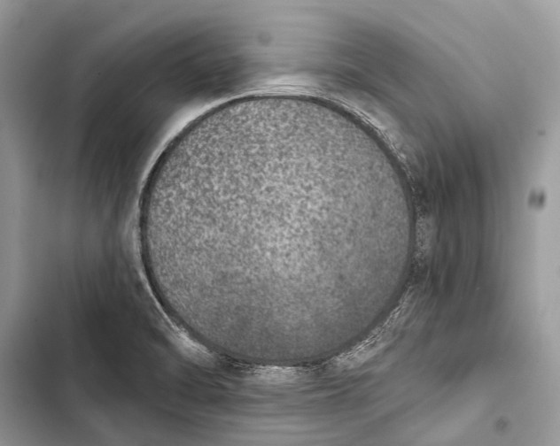 X0000103471470200810031509