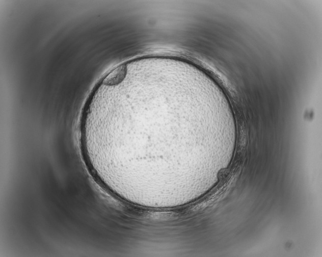 X0000103471471200810031509