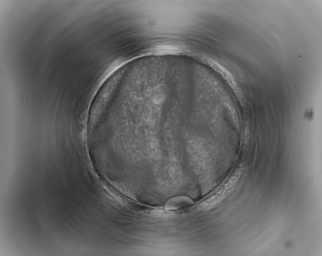 X0000103471473200810031509