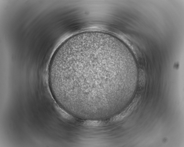 X0000103471474200810031509